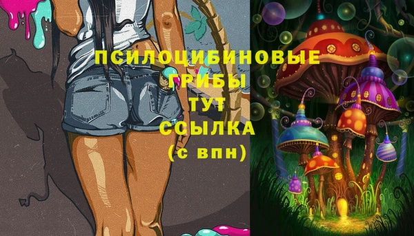 марки lsd Переславль-Залесский