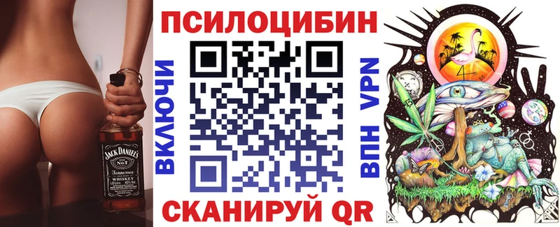 Купить где  Отрадная  Псилоцибиновые грибы Magic Shrooms 